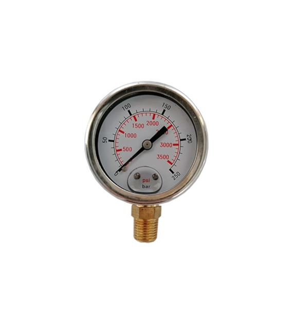Manometer NW 50 - 250 bar 1/4  AG ausgang unten