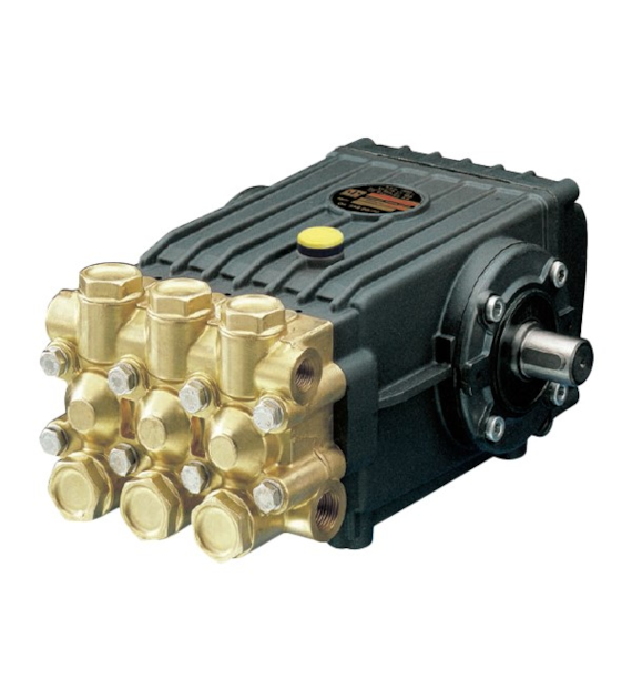 Pumpe INTERPUMP WS101