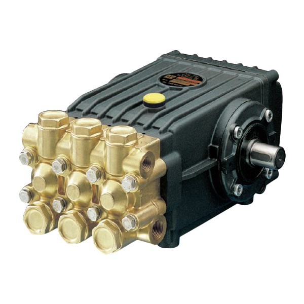 Pumpe INTERPUMP WS101