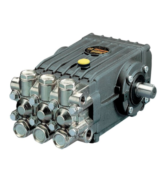 Pumpe INTERPUMP WS201