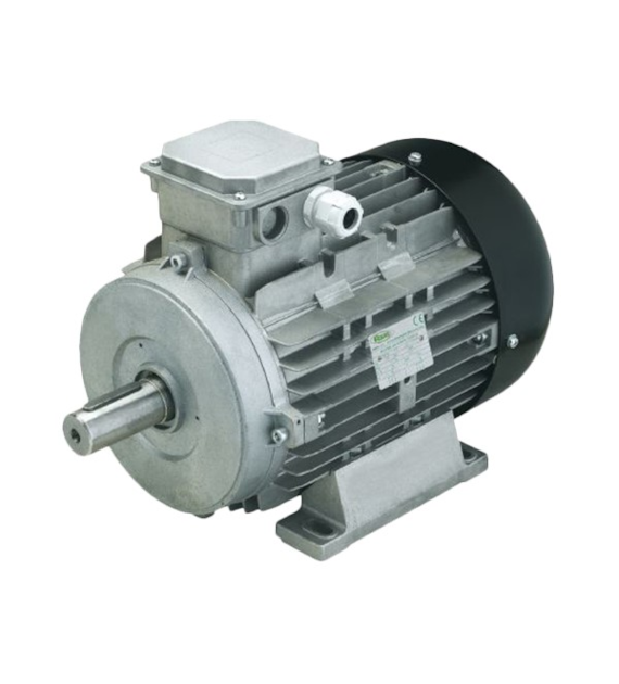 Elektrischer Motor 400V 7,5kW H132 - mit Welle