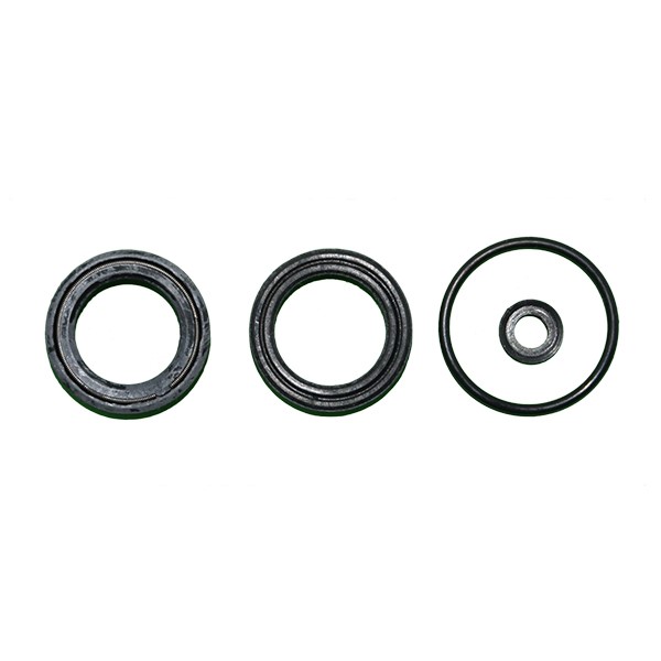 Dichtungssatz NW18 CAT 3CP