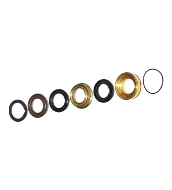 Dichtungssatz NW22 INTERPUMP KIT29