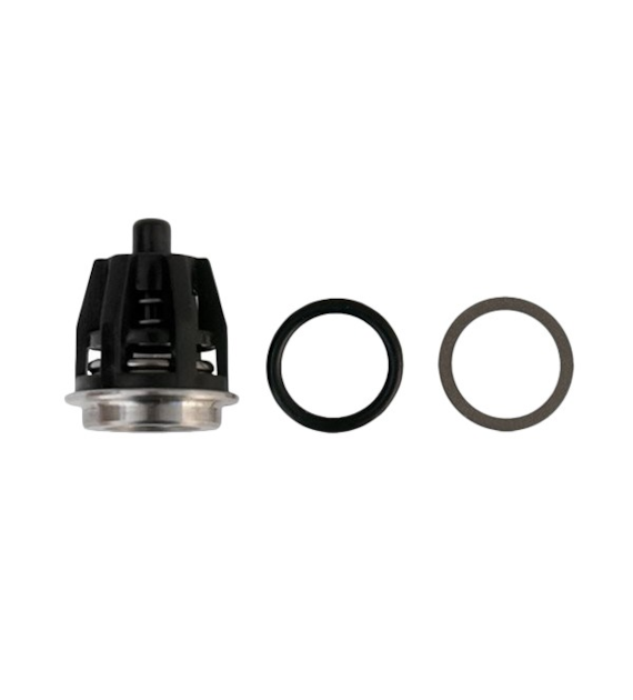 Ventilsatz INTERPUMP KIT201