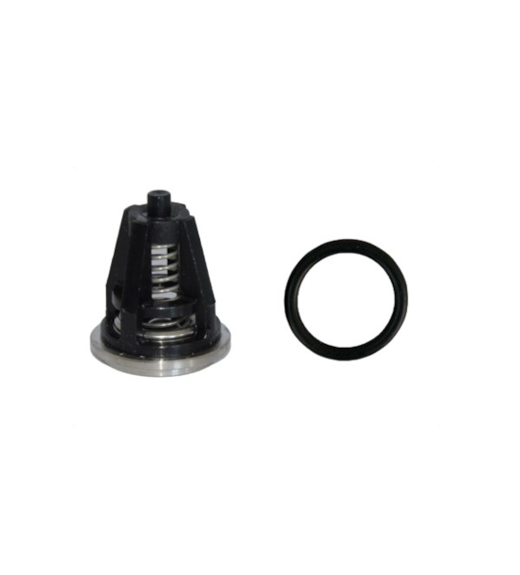 Ventilsatz INTERPUMP KIT62