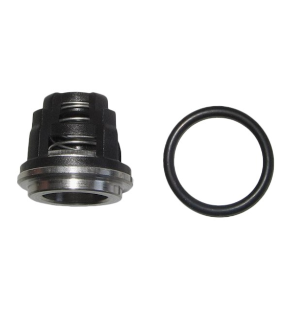 Ventilsatz ANNOVI KIT42169